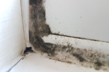 Airtech Improves Indoor Air Quality and Tackles Mould for Mid-Devon Social Housing Resident image