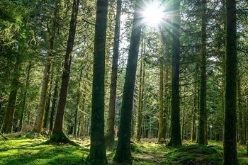 Blaenau Gwent Council agrees plans to cut carbon emissions image
