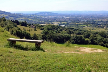 Council prepares greening strategy for cabinet meeting image