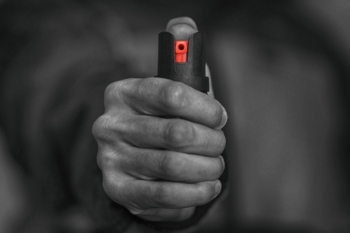 Directors of children’s services criticise pepper spray policy image