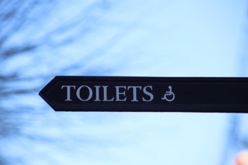 Government told to ‘spend a penny’ on public toilets image