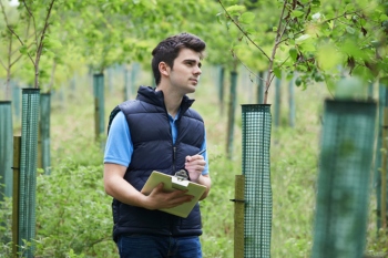 Report calls for thousands of new green jobs in areas worst hit by pandemic image