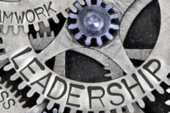 Study reveals ‘worrying’ state of local government leadership   image