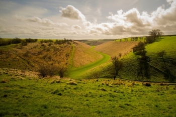 Yorkshire Wolds proposed as new outstanding beauty spot image